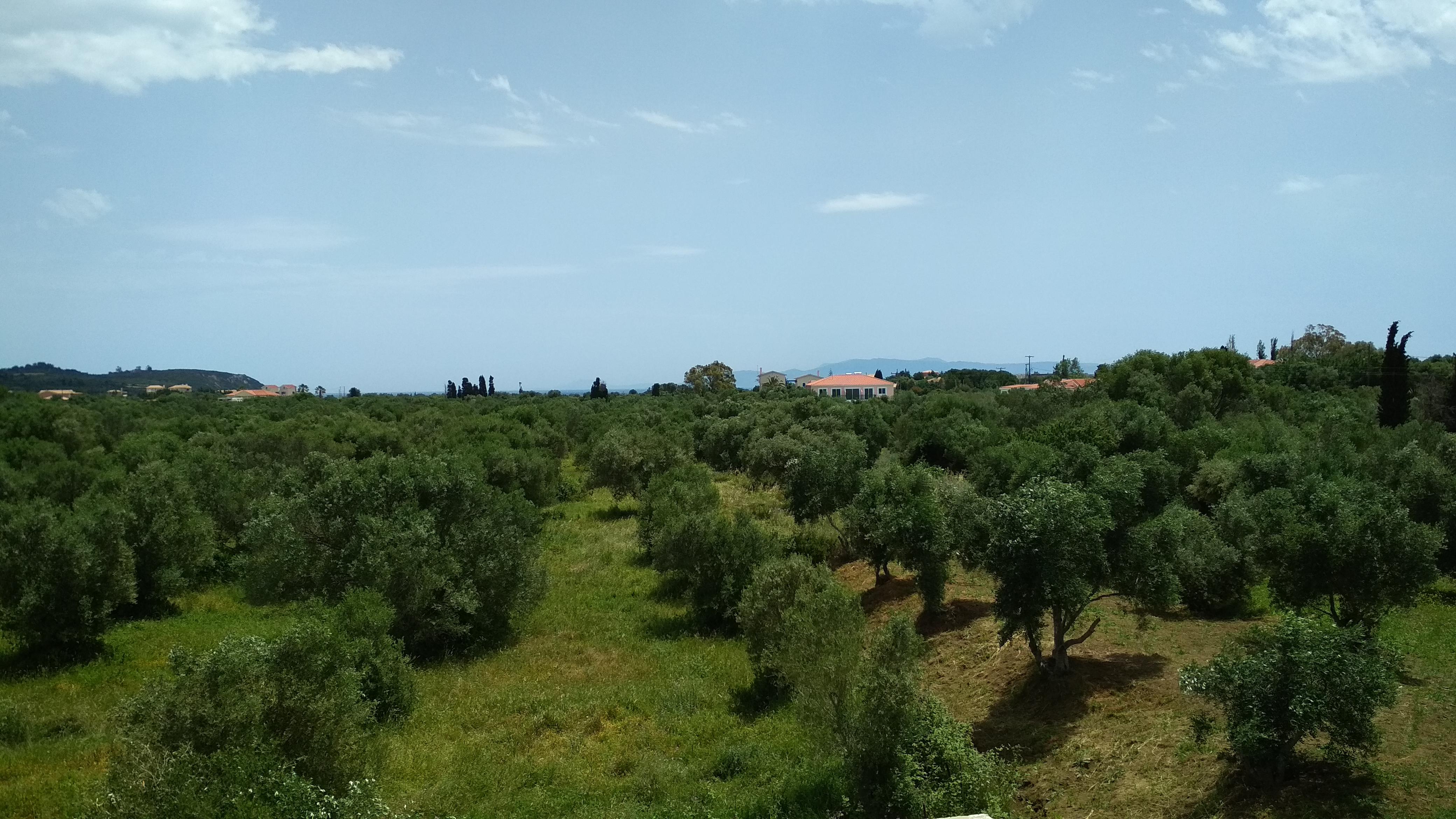 Casa De Rosa Apartments & Studios Σβορωνάτα Εξωτερικό φωτογραφία